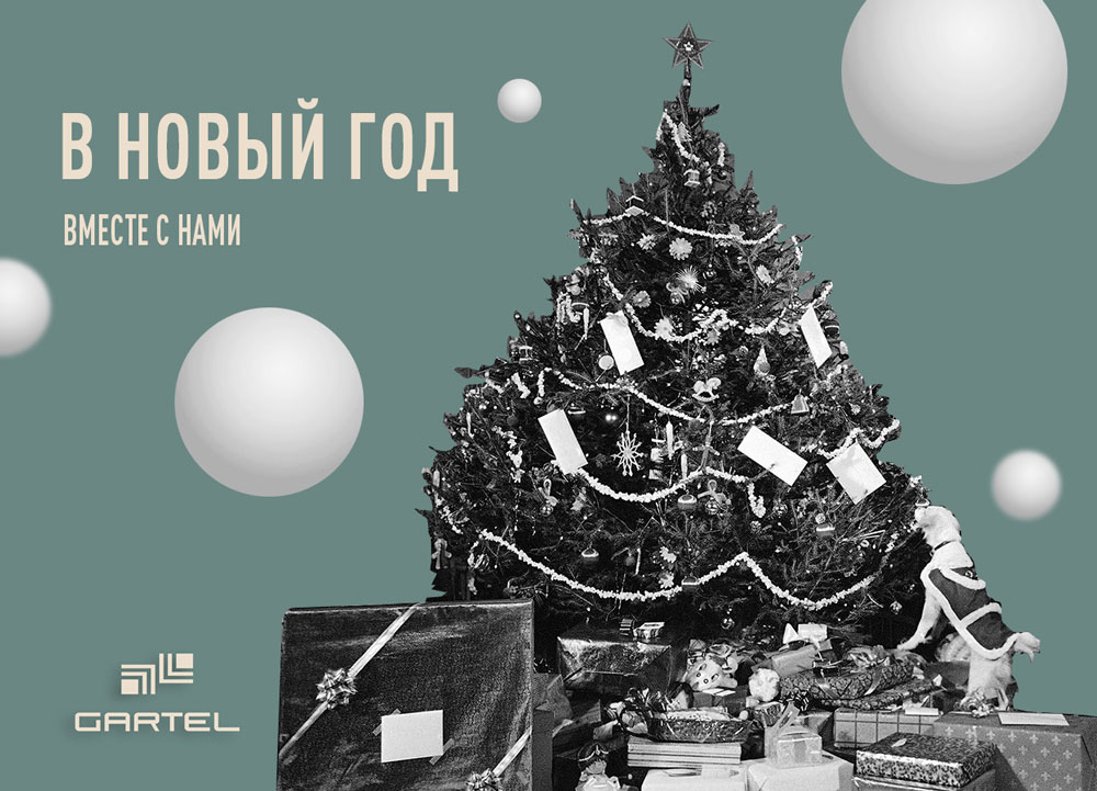 С наступающим Новым 2025 годом!